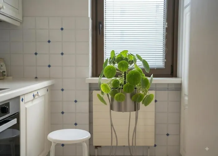 Appartement 2 Bedroom Charme, Central, Stephansplatz Wenen